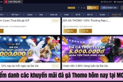 Trải Nghiệm Đặt Cược Đá Gà Thomo Hôm Nay Thú Vị Tại MCW