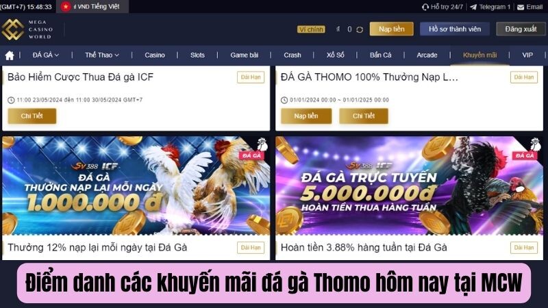 Điểm danh các khuyến mãi đá gà Thomo hôm nay tại MCW