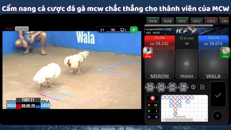 Cẩm nang cá cược đá gà mcw chắc thắng cho thành viên của MCW