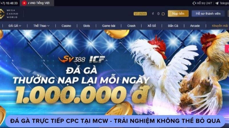 Đá gà trực tiếp CPC là gì?