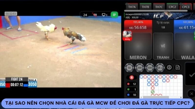 Tại sao nên chọn nhà cái đá gà MCW để chơi đá gà trực tiếp CPC?