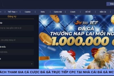 Đá Gà Trực Tiếp CPC Tại MCW – Trải Nghiệm Không Thể Bỏ Qua