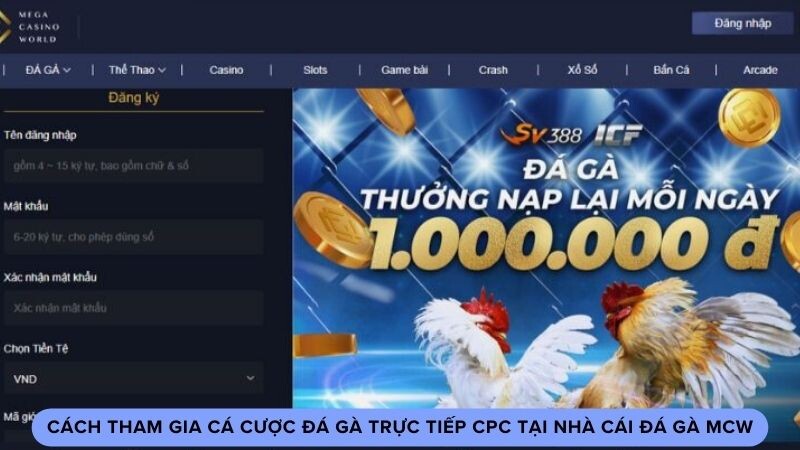 Cách tham gia cá cược đá gà trực tiếp CPC tại nhà cái đá gà MCW