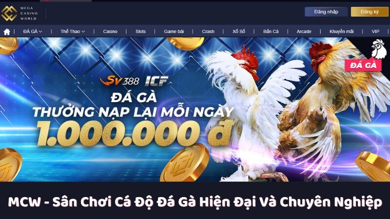 Tầm nhìn chiến lược của MCW